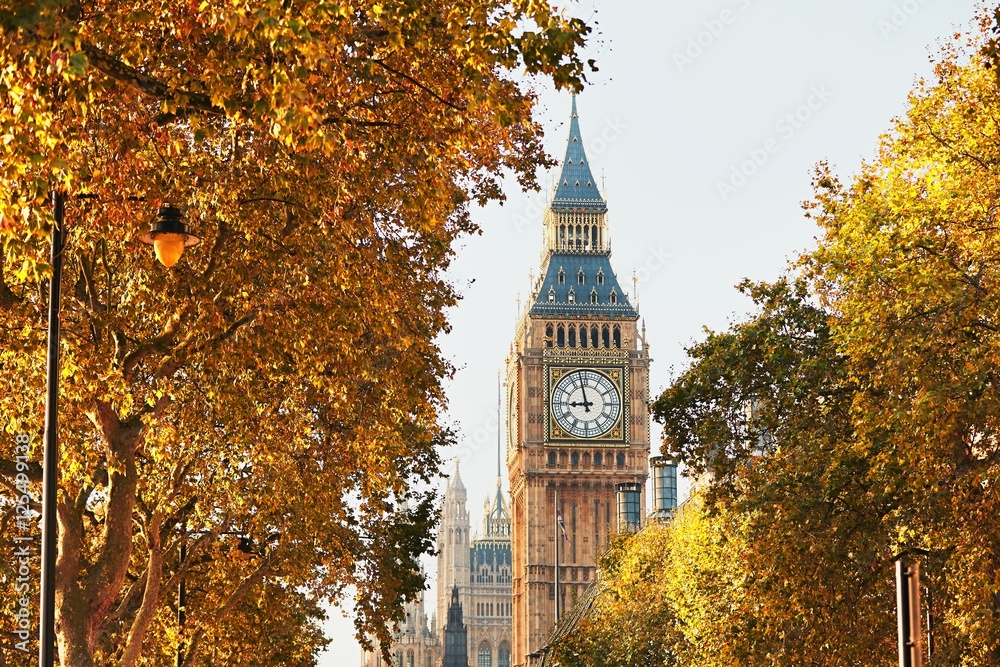 Your guide to moving home this autumn